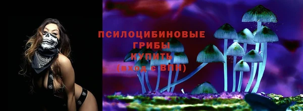 гашик Кинешма