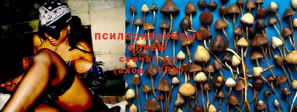 гашик Кинешма