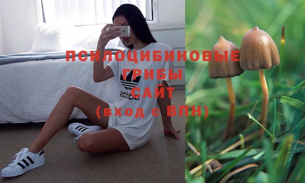 гашик Кинешма